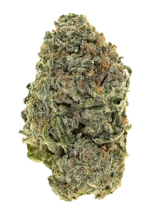 Humboldt OG