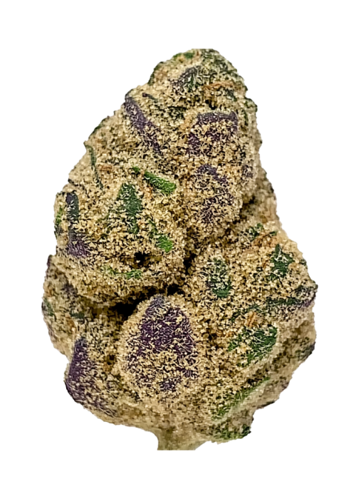 Blackberry Pie