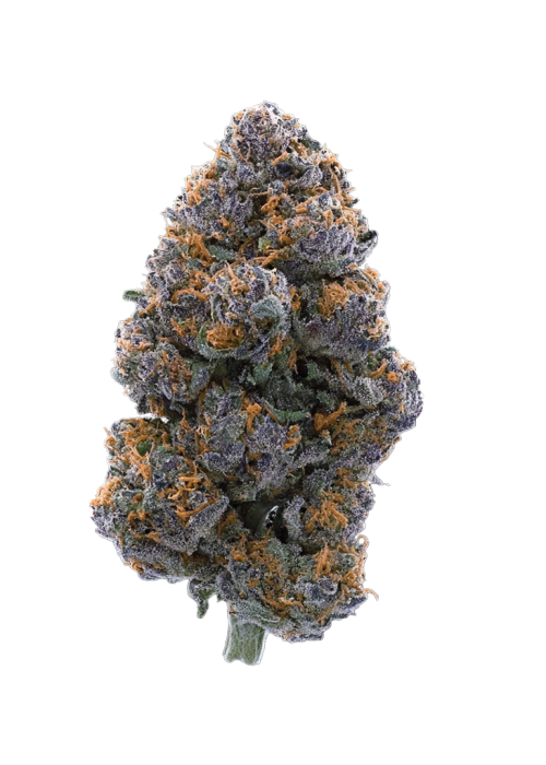 Blackberry Pie