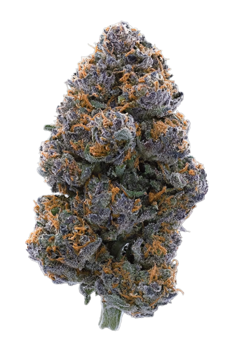 Blackberry Pie