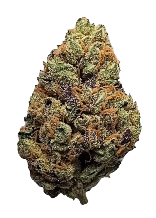 Northern Lights