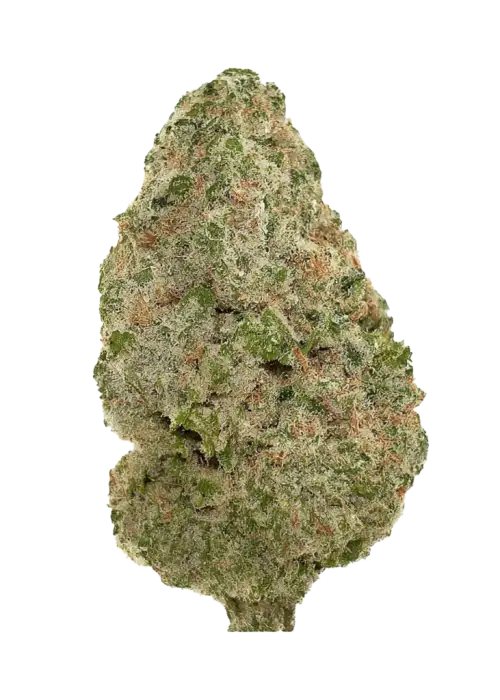 Cali OG Kush