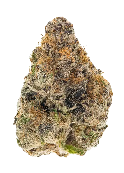 Strawberry Tropicana