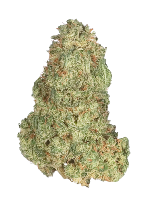 Grape OG