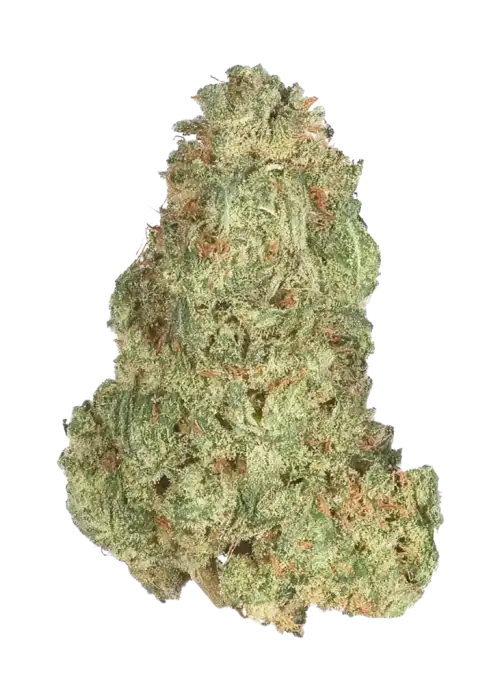 Grape OG