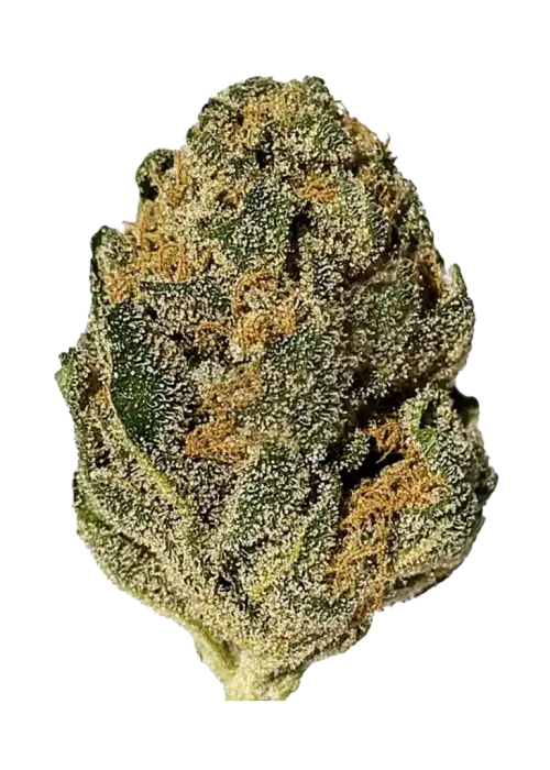 Acid Dough