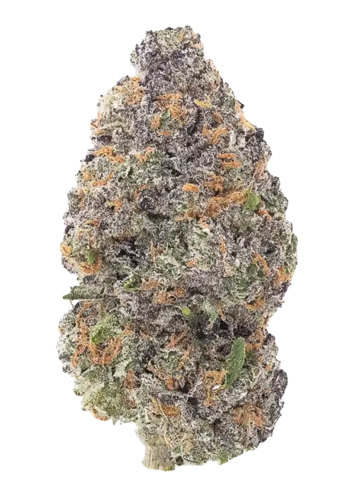 Rare Dankness #1