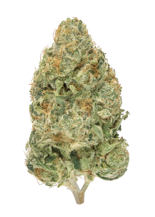 Cloud 9