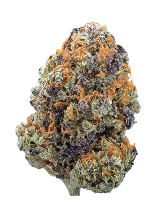 Grape Zkittlez