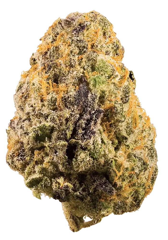 Grape Frappe Cannabis Strain Information - GrowDiaries