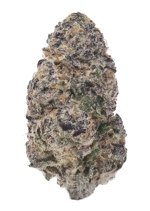 Mendo Crumble