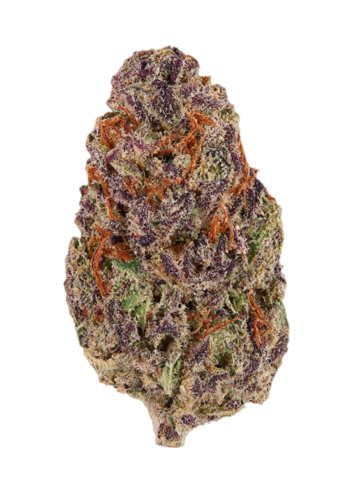 Durban Gushers
