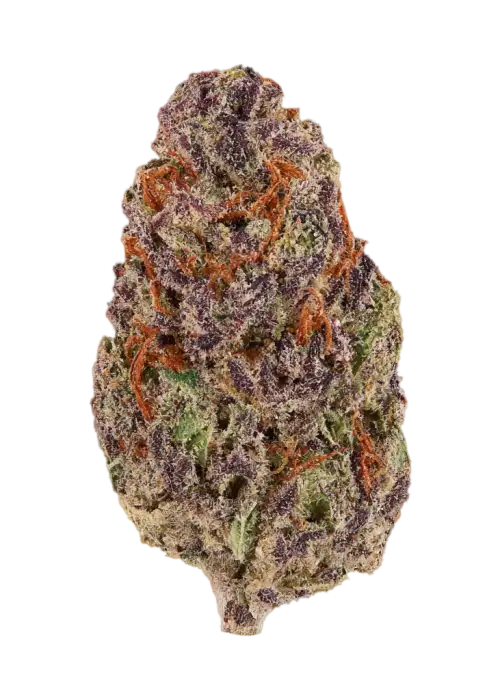 Durban Gushers