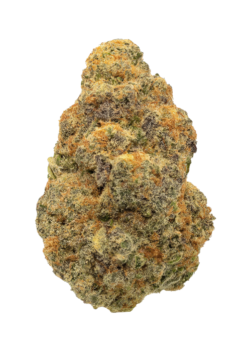 Orange Daiquiri