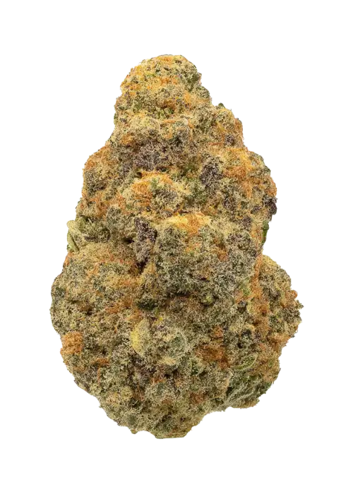 Orange Daiquiri