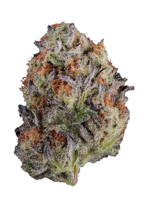 Sin City Kush