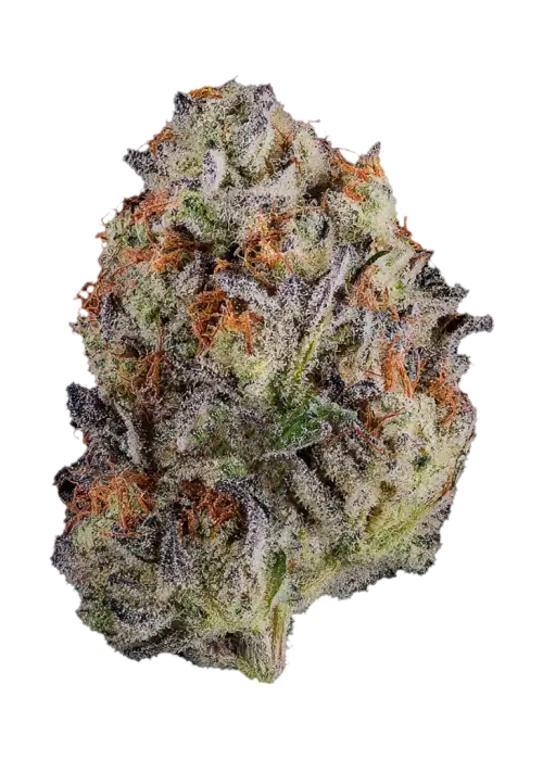 Sin City Kush