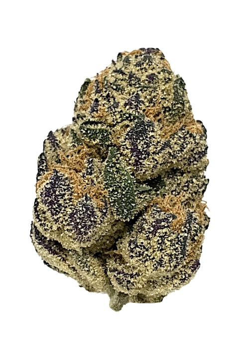 Purple Dragon