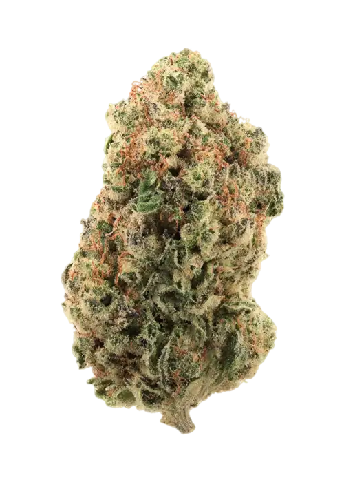 Sour Gelato