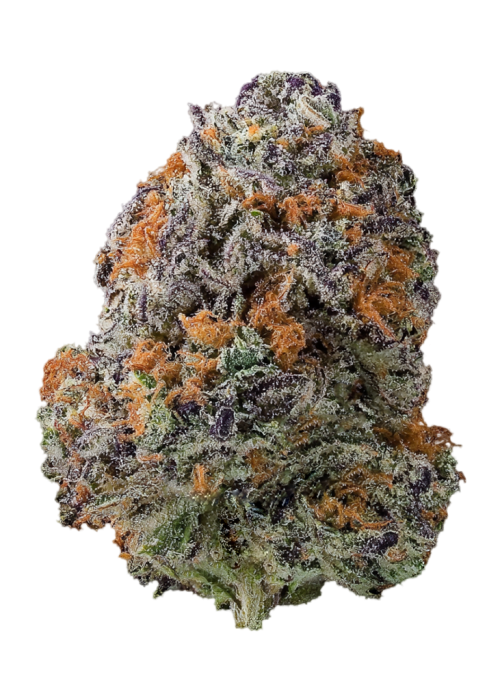 Chocolate Hashberry