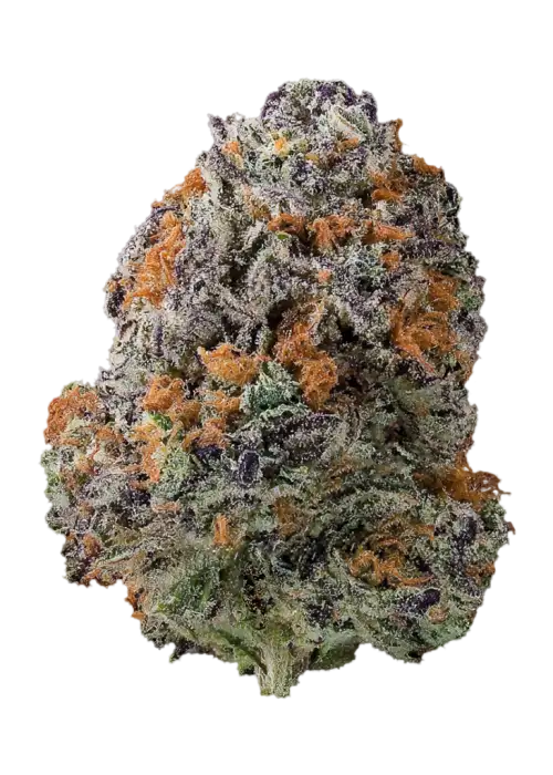 Chocolate Hashberry