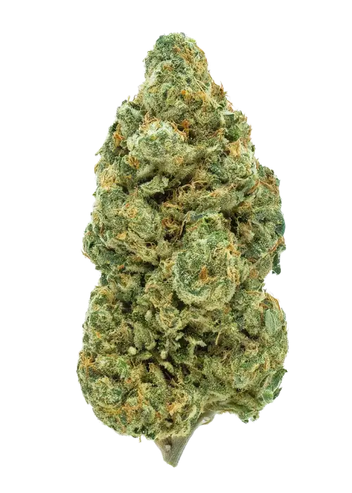 Moon Berry