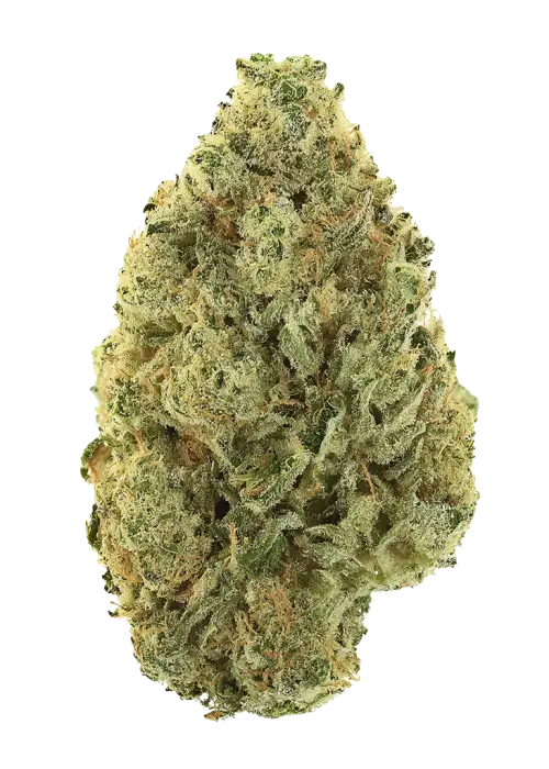 Triple Cheese
