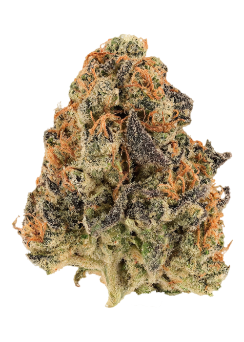 Cherry Cream Pie