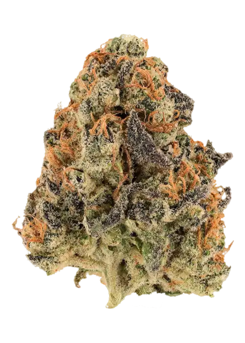 Cherry Cream Pie