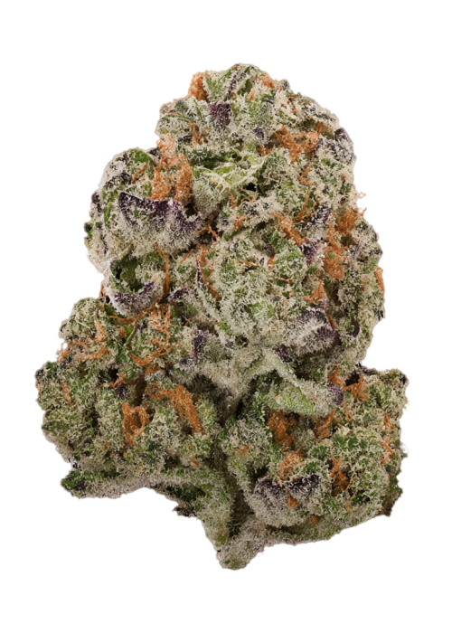 Black Cherry Garlic