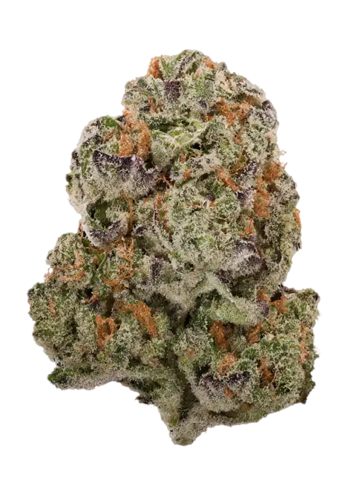 Black Cherry Garlic