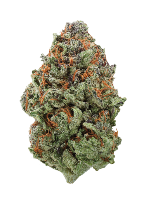 Platinum Gelato