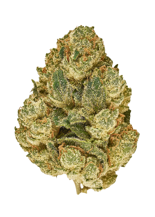 Cookie Dos