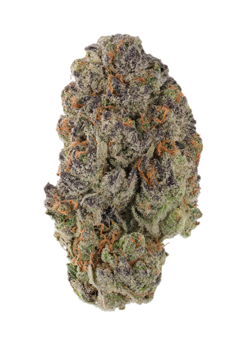 Gorilla Nut