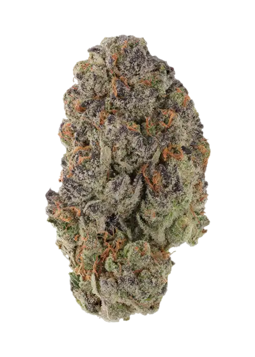 Gorilla Nut