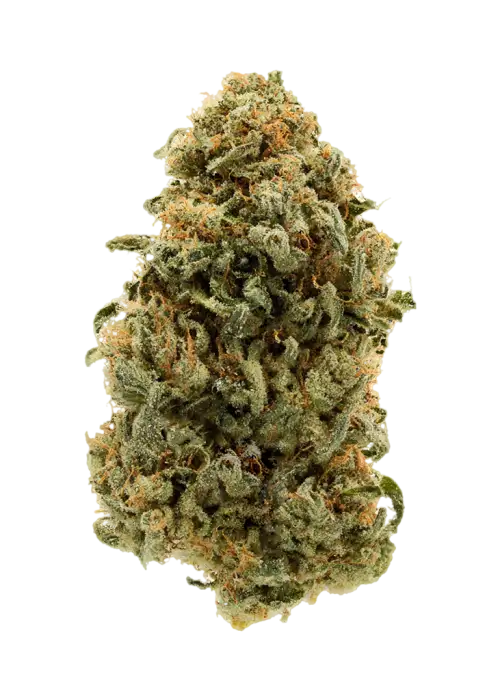 Blue Glue