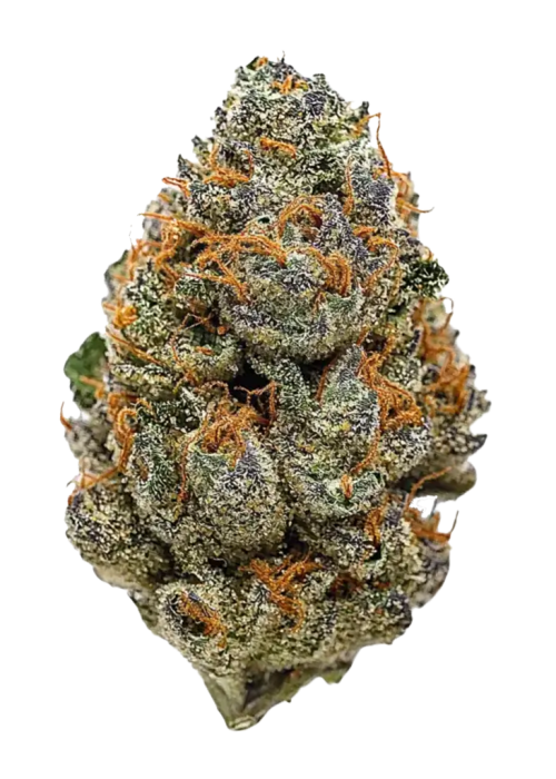 Blackberry