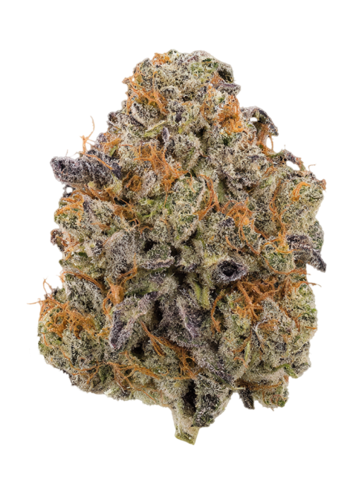 Hawaiian Snowcone