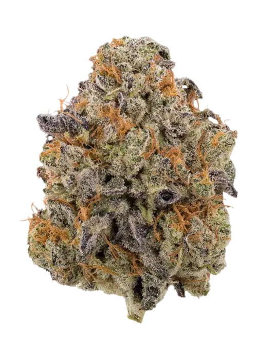 Hawaiian Snowcone