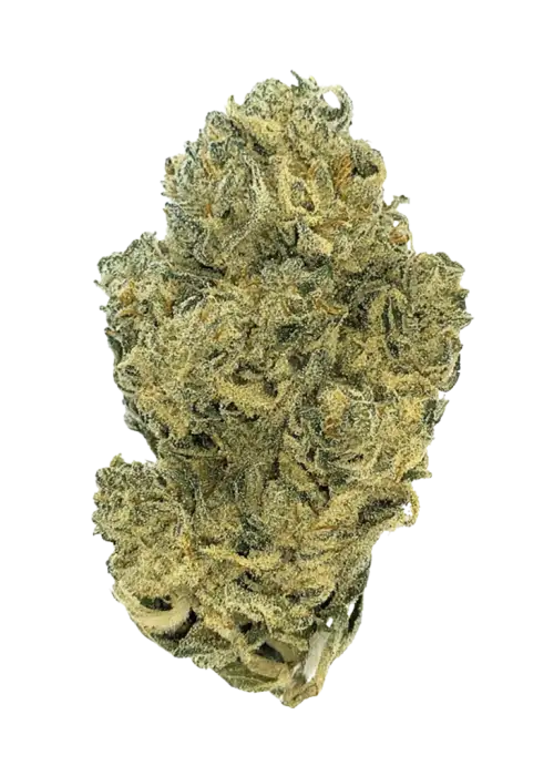 Space Junkie