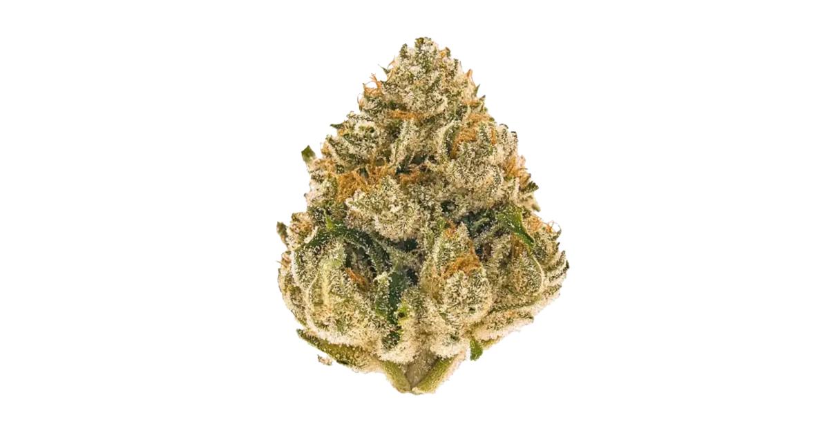 SOUR APPLE STRAIN REVIEW visual data 4