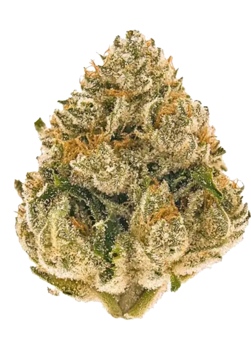 Sour Apple