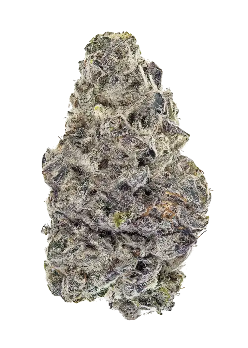 Popscotti
