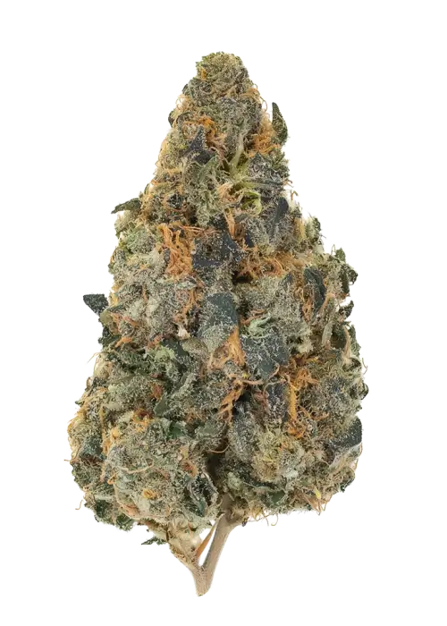 Blood Diamond