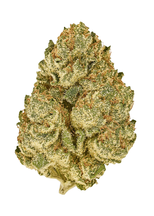 Lemon Up
