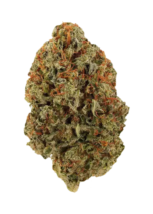 Durban Kush