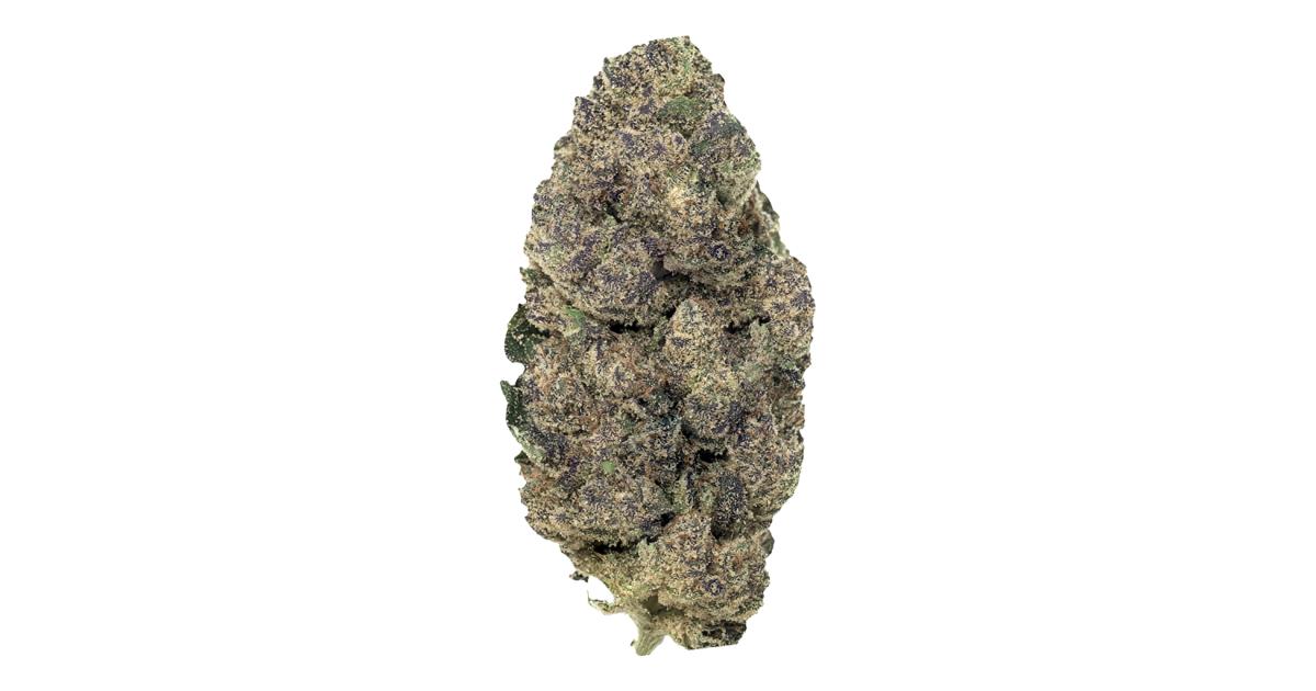 Hash Burger Cannabis Strain Information - GrowDiaries