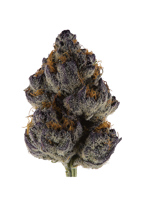 Purple Ghost Candy