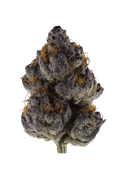 Purple Ghost Candy