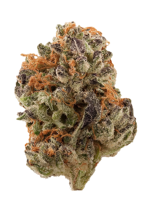 Strawberry Sherbet